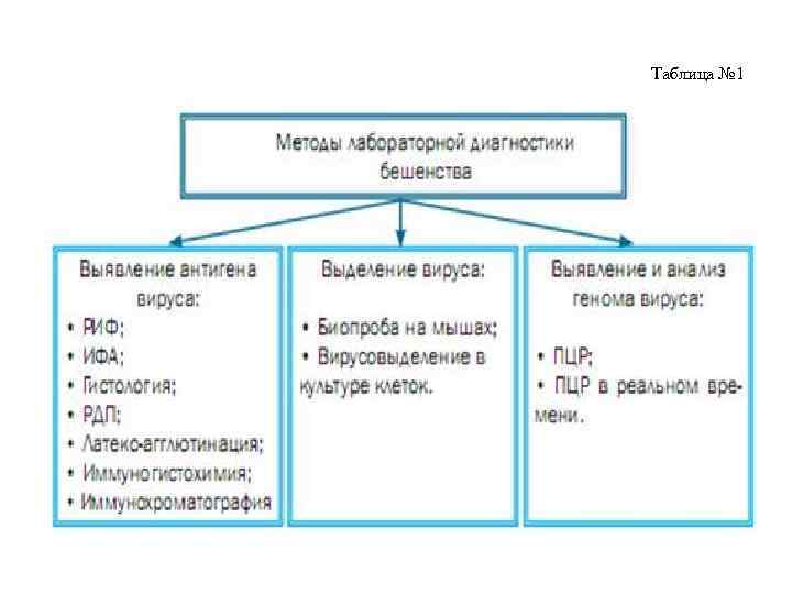 Таблица № 1 