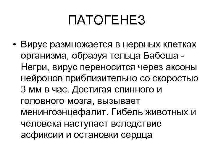 ПАТОГЕНЕЗ • Вирус размножается в нервных клетках организма, образуя тельца Бабеша Негри, вирус переносится