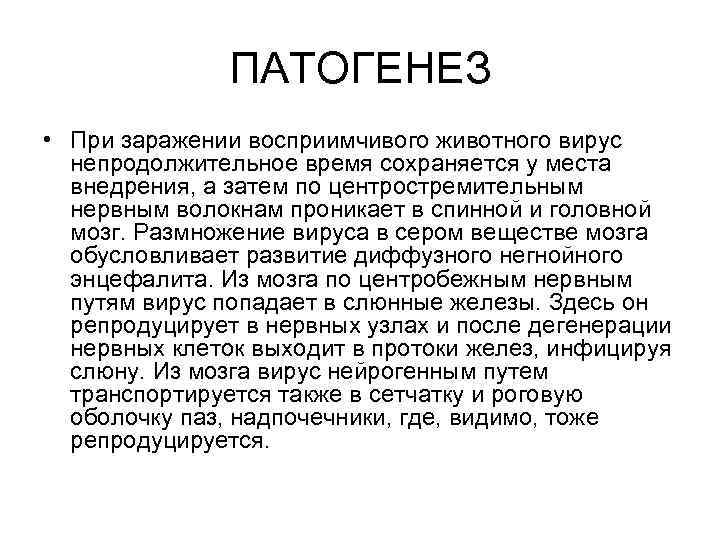 ПАТОГЕНЕЗ • При заражении восприимчивого животного вирус непродолжительное время сохраняется у места внедрения, а