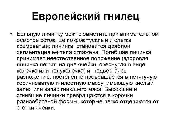 Европейский гнилец • Больную личинку можно заметить при внимательном осмотре сотов. Ее покров тусклый