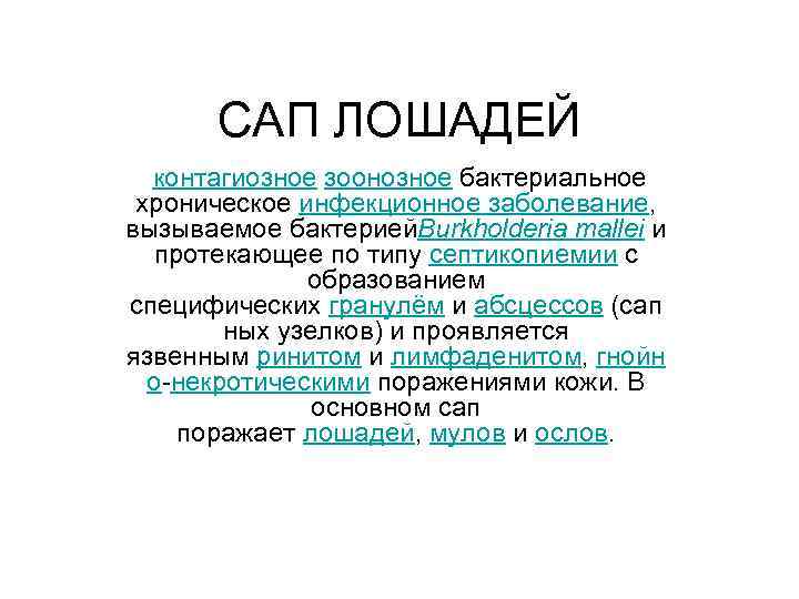 Сап лошадей. САП инфекционное заболевание. Болезни вызываемые бактериями САП. САП инфекционное заболевание studfiles. САП клинические проявления.