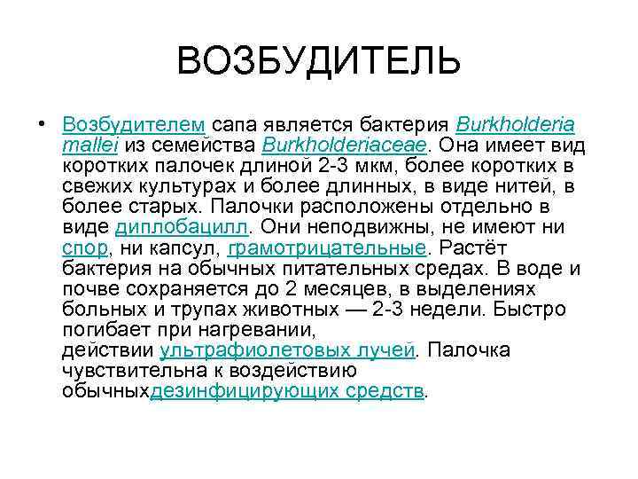 ВОЗБУДИТЕЛЬ • Возбудителем сапа является бактерия Burkholderia mallei из семейства Burkholderiaceae. Она имеет вид