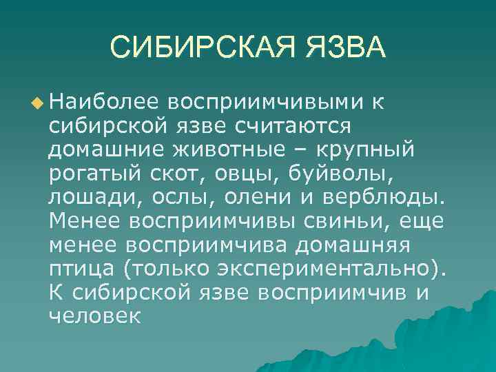 СИБИРСКАЯ ЯЗВА u Наиболее восприимчивыми к сибирской язве считаются домашние животные – крупный рогатый