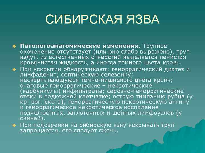 Патологоанатомическая картина при сибирской язве представлена всеми описанными изменениями кроме