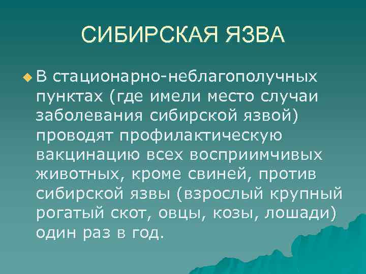 СИБИРСКАЯ ЯЗВА u В стационарно-неблагополучных пунктах (где имели место случаи заболевания сибирской язвой) проводят