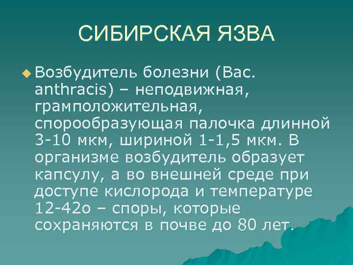 СИБИРСКАЯ ЯЗВА u Возбудитель болезни (Bac. anthracis) – неподвижная, грамположительная, спорообразующая палочка длинной 3