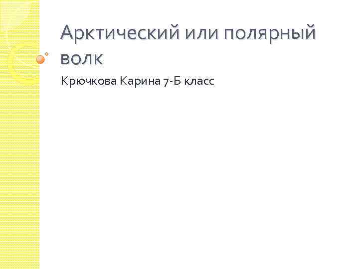 Арктический или полярный волк Крючкова Карина 7 -Б класс 