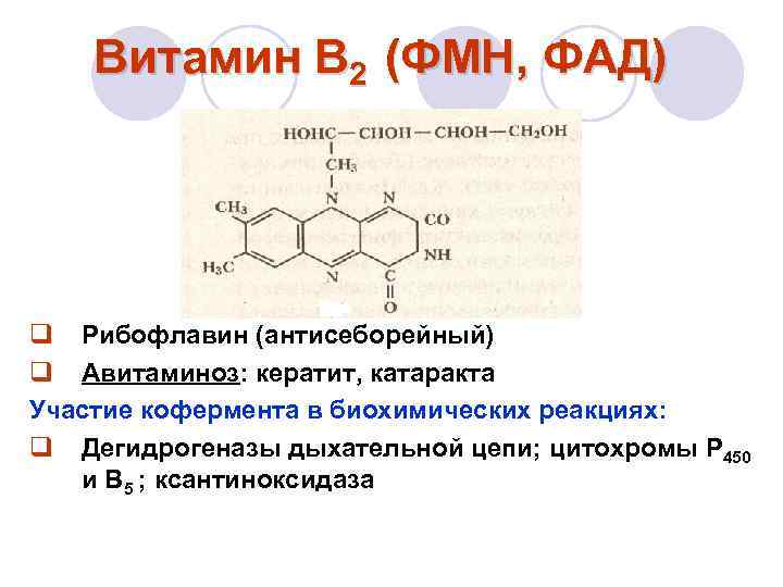 Витамин в2