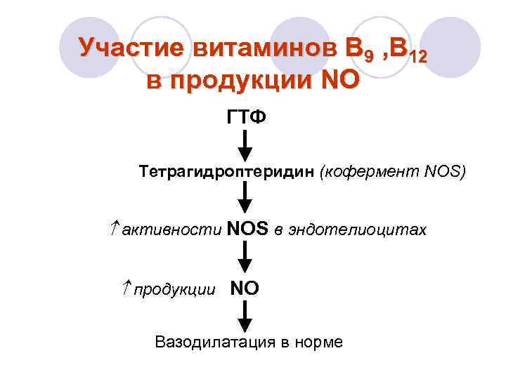 Участие витаминов В 9 , В 12 в продукции NO ГТФ Тетрагидроптеридин (кофермент NOS)