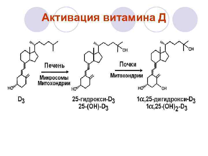 Активация витамина Д 