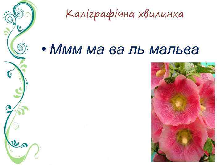 Каліграфічна хвилинка • Ммм ма ва ль мальва 