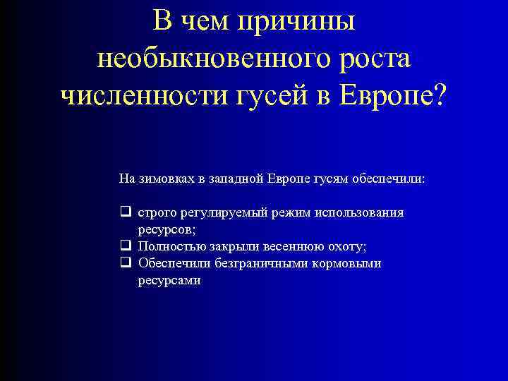 В чем причины необыкновенного роста численности гусей в Европе? На зимовках в западной Европе