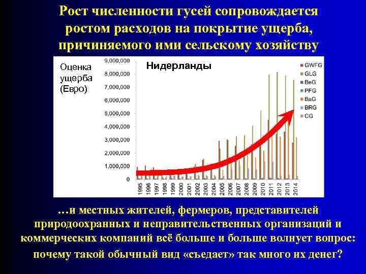 Рост численности гусей сопровождается ростом расходов на покрытие ущерба, причиняемого ими сельскому хозяйству Оценка