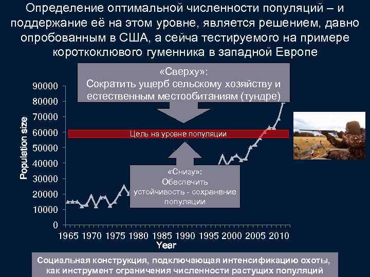 Определение оптимальной численности популяций – и поддержание её на этом уровне, является решением, давно