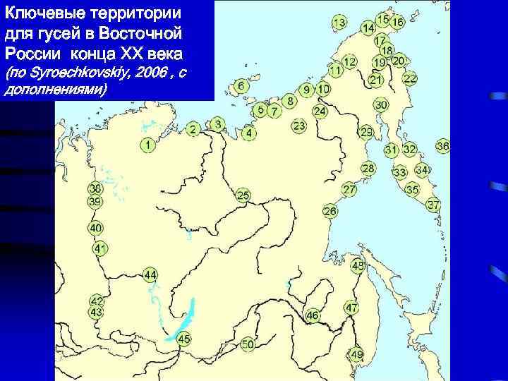 Ключевые территории для гусей в Восточной России конца ХХ века (по Syroechkovskiy, 2006 ,