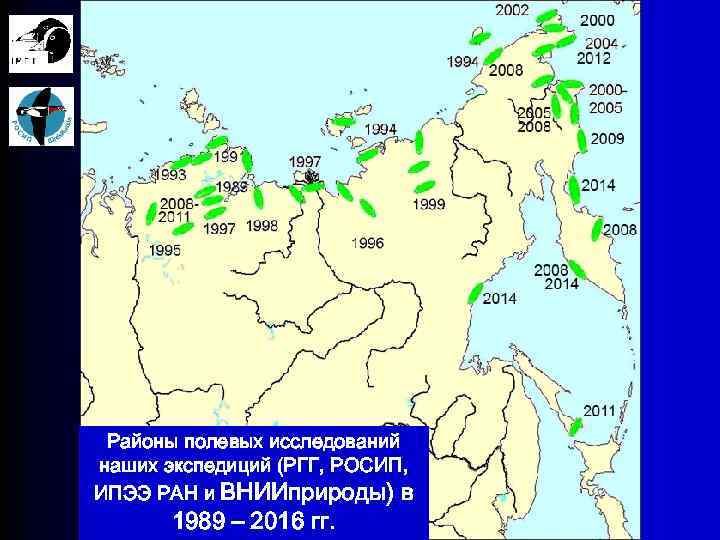 Районы полевых исследований наших экспедиций (РГГ, РОСИП, ИПЭЭ РАН и ВНИИприроды) в 1989 –