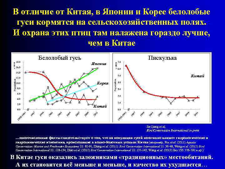 В отличие от Китая, в Японии и Корее белолобые гуси кормятся на сельскохозяйственных полях.