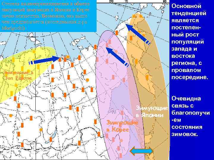 Степень взаимопроникновения и обмена популяций зимующих в Японии и Корее точно неизвестна. Возможно, она