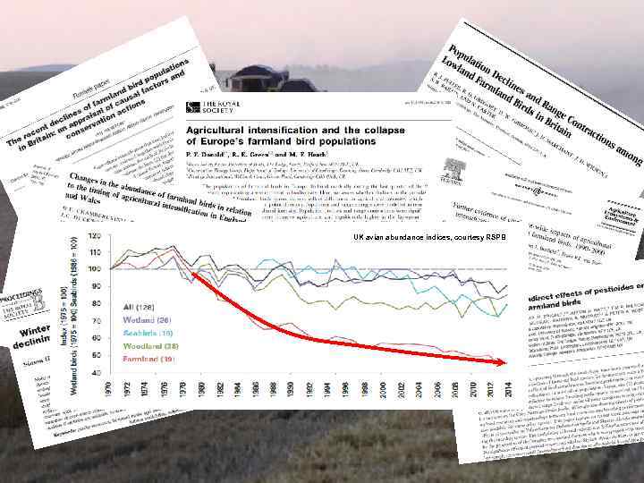 UK avian abundance indices, courtesy RSPB 