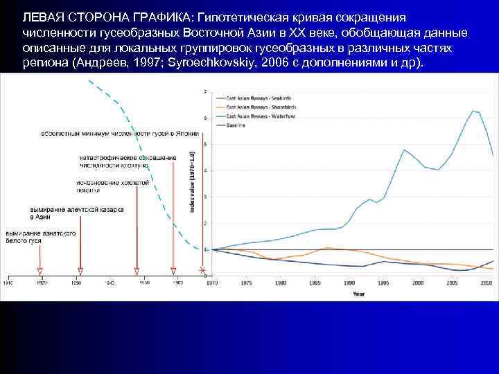 ЛЕВАЯ СТОРОНА ГРАФИКА: Гипотетическая кривая сокращения численности гусеобразных Восточной Азии в ХХ веке, обобщающая