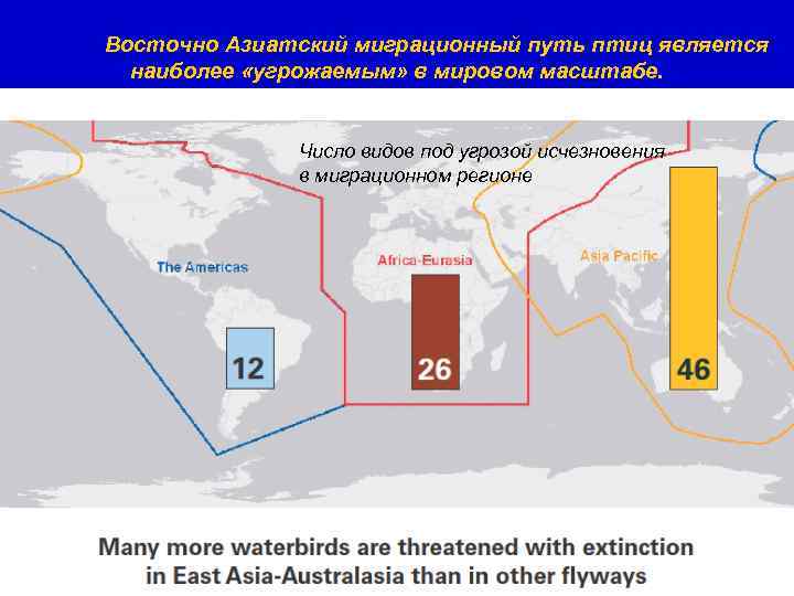 Восточно Азиатский миграционный путь птиц является наиболее «угрожаемым» в мировом масштабе. Число видов под