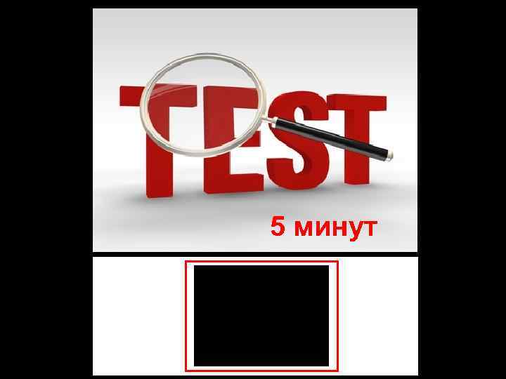 5 минут 