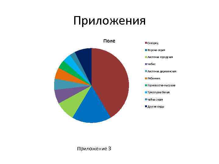 Приложения Поле Скворец Ворона серая Ласточка городская Чибис Ласточка деревенская Рябинник Горихвостка-лысушка Трясогузка белая