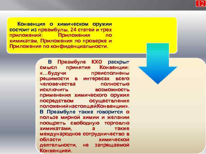 12 Конвенция о химическом оружии состоит из преамбулы, 24 статей и трех приложений: Приложения