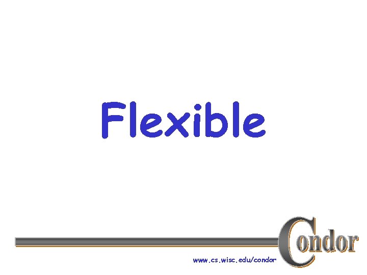 Flexible www. cs. wisc. edu/condor 