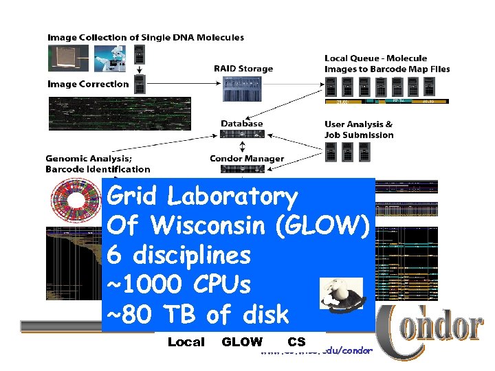 Grid Laboratory Of Wisconsin (GLOW) 6 disciplines ~1000 CPUs ~80 TB of disk Local