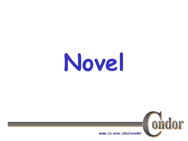 Novel www. cs. wisc. edu/condor 