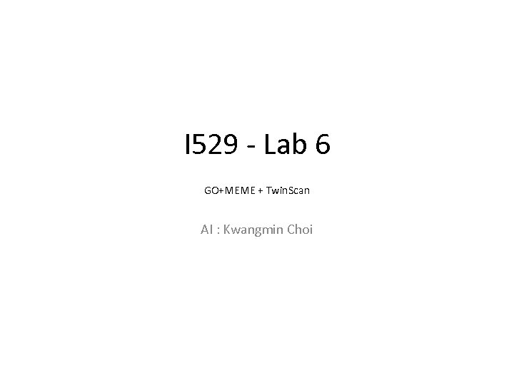 I 529 - Lab 6 GO+MEME + Twin. Scan AI : Kwangmin Choi 