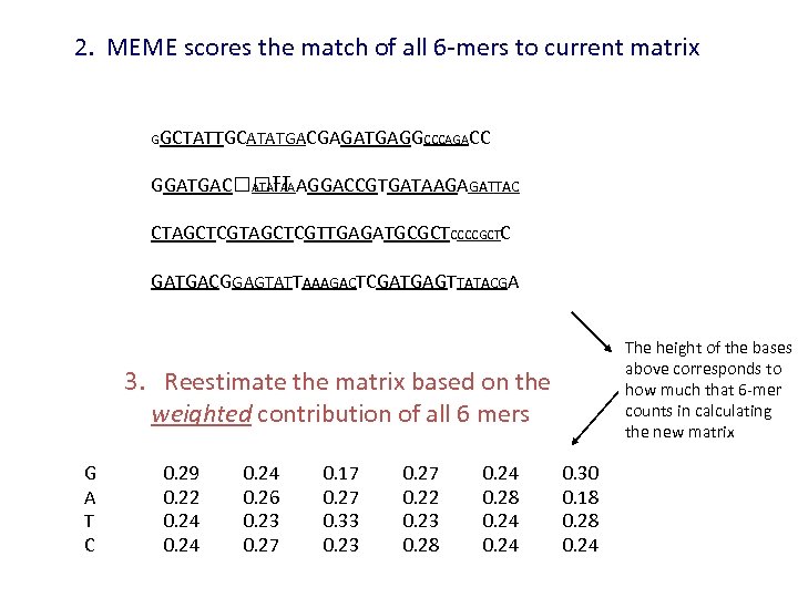 2. MEME scores the match of all 6 -mers to current matrix GGCTATTGCATATGACGAGATGAGGCCCAGACC GGATGAC