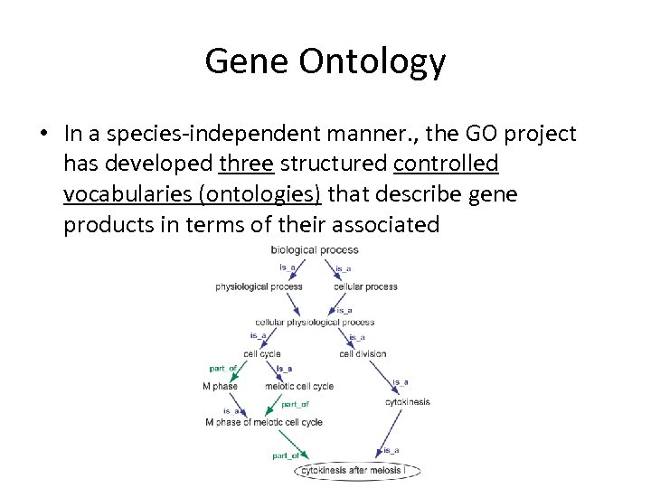 Gene Ontology • In a species-independent manner. , the GO project has developed three