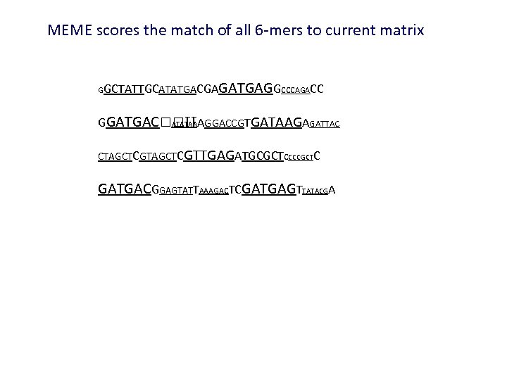 MEME scores the match of all 6 -mers to current matrix GGCTATTGCATATGACGA GATGAGGCCCAGACC GGATGAC