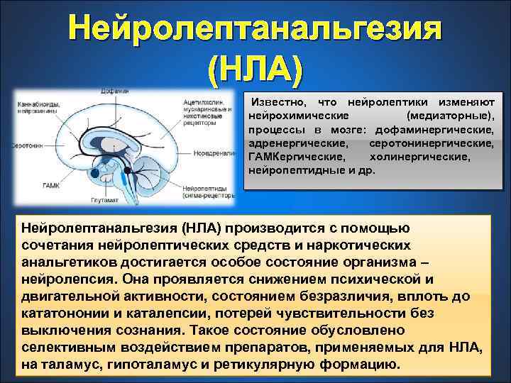 Нейролептанальгезия (НЛА) Известно, что нейролептики изменяют нейрохимические (медиаторные), процессы в мозге: дофаминергические, адренергические, серотонинергические,