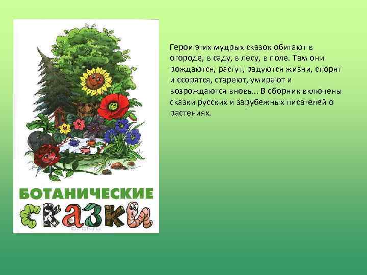 Герои этих мудрых сказок обитают в огороде, в саду, в лесу, в поле. Там
