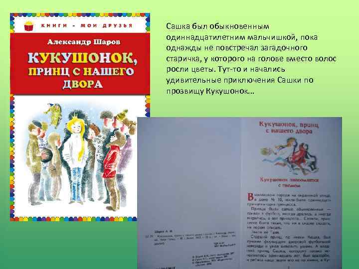 Сашка был обыкновенным одиннадцатилетним мальчишкой, пока однажды не повстречал загадочного старичка, у которого на