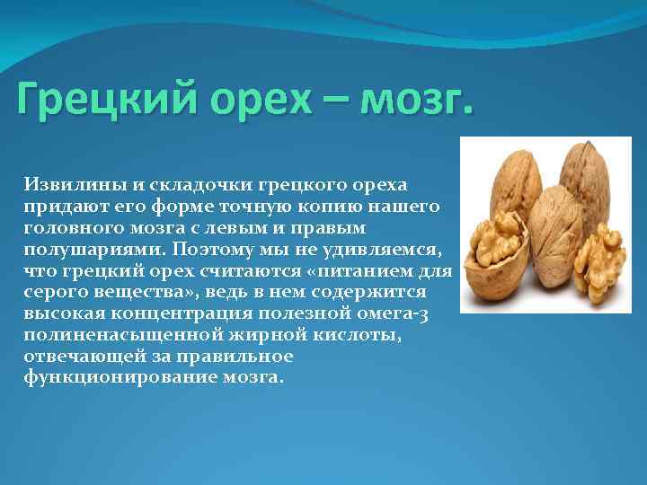 Грецкий орех – мозг. Извилины и складочки грецкого ореха придают его форме точную копию