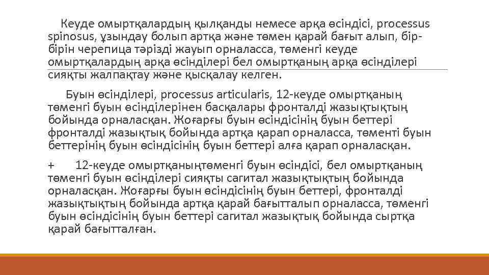  Кеуде омыртқалардың қылқанды немесе арқа өсіндісі, processus spinosus, ұзындау болып артқа және төмен
