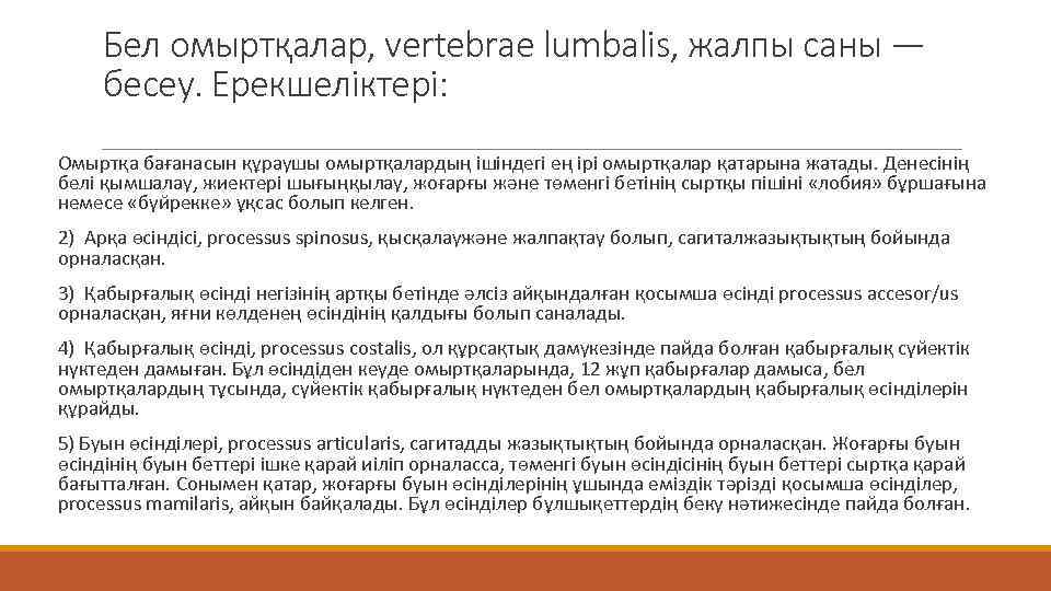 Бел омыртқалар, vertebrae lumbalis, жалпы саны — бесеу. Ерекшеліктері: Омыртқа бағанасын құраушы омыртқалардың ішіндегі