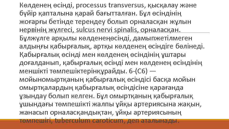  Көлденең өсінді, processus transversus, қысқалау және бүйір қапталына қарай бағытталған. Бұл өсіндінің жоғарғы