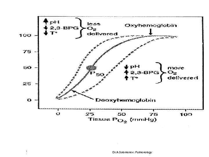 Dr. A. Solomonov. Pulmonology 