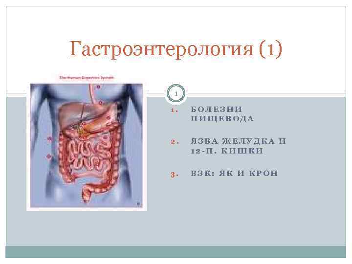 Гастроэнтерология (1) 1 1. БОЛЕЗНИ ПИЩЕВОДА 2. ЯЗВА ЖЕЛУДКА И 12 -П. КИШКИ 3.