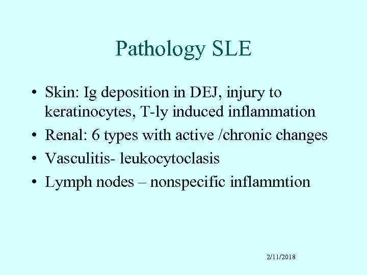 Pathology SLE • Skin: Ig deposition in DEJ, injury to keratinocytes, T-ly induced inflammation