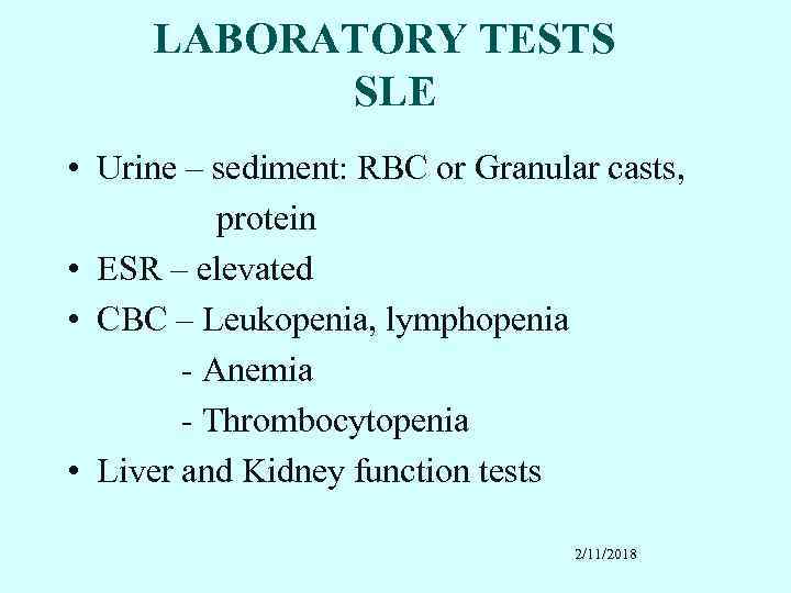 LABORATORY TESTS SLE • Urine – sediment: RBC or Granular casts, protein • ESR