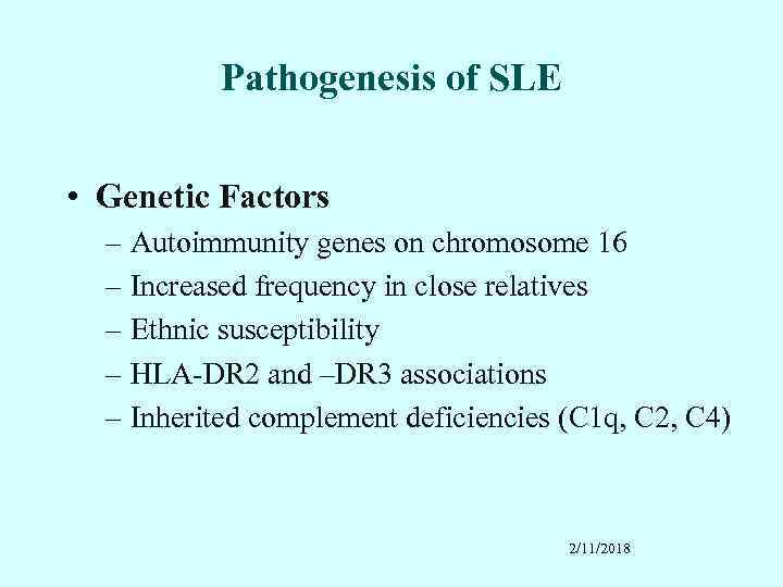 Pathogenesis of SLE • Genetic Factors – Autoimmunity genes on chromosome 16 – Increased