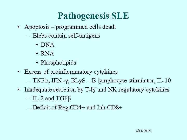 Pathogenesis SLE • Apoptosis – programmed cells death – Blebs contain self-antigens • DNA