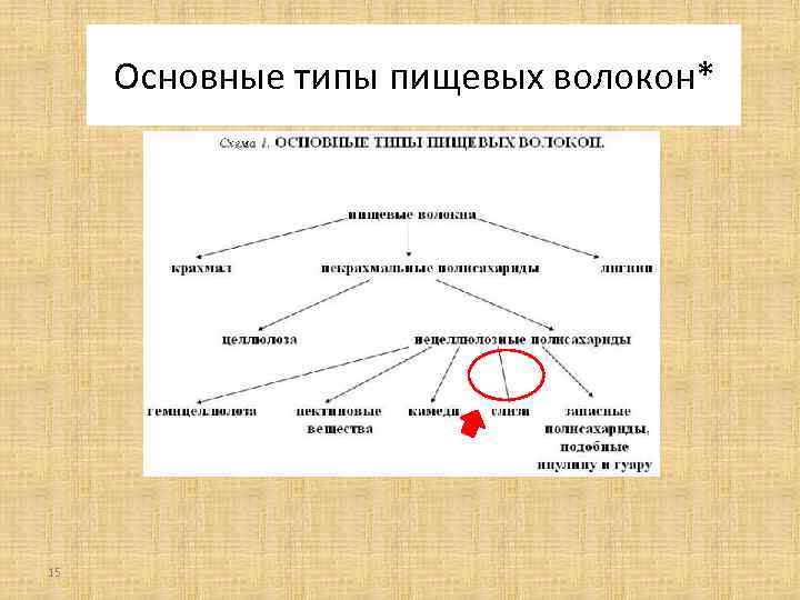 Основные типы пищевых волокон* 15 
