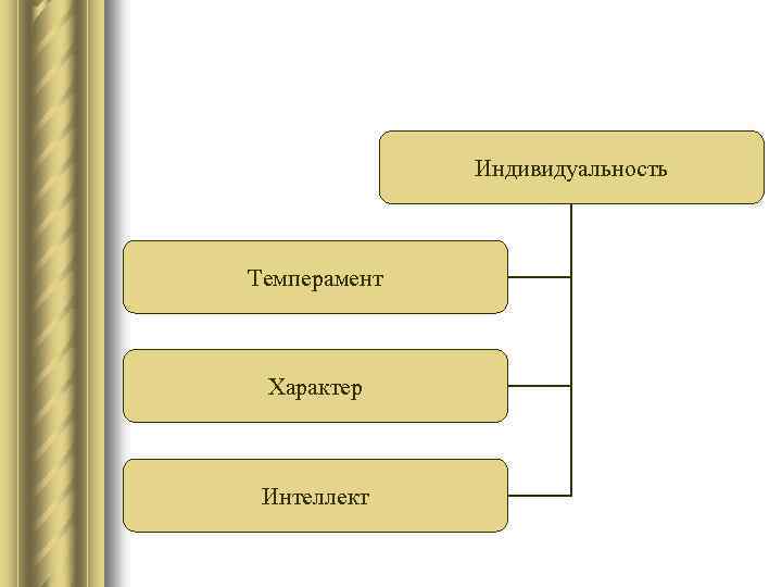 Характер интеллект. Интеллектуальный темперамент. Индивид темперамент интеллект. 